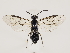  ( - ZMUO.032475)  @15 [ ] CreativeCommons - Attribution Non-Commercial (2018) Marko Mutanen University of Oulu