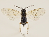  ( - ZMUO.032487)  @12 [ ] CreativeCommons - Attribution Non-Commercial (2018) Marko Mutanen University of Oulu