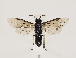  ( - ZMUO.032493)  @12 [ ] CreativeCommons - Attribution Non-Commercial (2018) Marko Mutanen University of Oulu