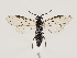  ( - ZMUO.032507)  @15 [ ] CreativeCommons - Attribution Non-Commercial (2018) Marko Mutanen University of Oulu