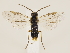  ( - ZMUO.032524)  @12 [ ] CreativeCommons - Attribution Non-Commercial (2018) Marko Mutanen University of Oulu