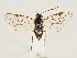  ( - ZMUO.032539)  @12 [ ] CreativeCommons - Attribution Non-Commercial (2018) Marko Mutanen University of Oulu