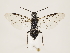  ( - ZMUO.032559)  @13 [ ] CreativeCommons - Attribution Non-Commercial (2018) Marko Mutanen University of Oulu