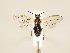  ( - ZMUO.032588)  @13 [ ] CreativeCommons - Attribution Non-Commercial (2018) Marko Mutanen University of Oulu