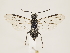  ( - ZMUO.032613)  @13 [ ] CreativeCommons - Attribution Non-Commercial (2018) Marko Mutanen University of Oulu