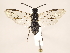  ( - ZMUO.032630)  @13 [ ] CreativeCommons - Attribution Non-Commercial (2018) Marko Mutanen University of Oulu