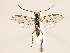  ( - ZMUO.032641)  @13 [ ] CreativeCommons - Attribution Non-Commercial (2018) Marko Mutanen University of Oulu