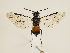  ( - ZMUO.032701)  @12 [ ] CreativeCommons - Attribution Non-Commercial (2018) Marko Mutanen University of Oulu