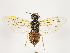  ( - ZMUO.032753)  @12 [ ] CreativeCommons - Attribution Non-Commercial (2018) Marko Mutanen University of Oulu