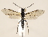 ( - ZMUO.032754)  @13 [ ] CreativeCommons - Attribution Non-Commercial (2018) Marko Mutanen University of Oulu