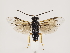  ( - ZMUO.032756)  @12 [ ] CreativeCommons - Attribution Non-Commercial (2018) Marko Mutanen University of Oulu