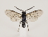  ( - ZMUO.032767)  @14 [ ] CreativeCommons - Attribution Non-Commercial (2018) Marko Mutanen University of Oulu