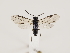  ( - ZMUO.032819)  @14 [ ] CreativeCommons - Attribution Non-Commercial (2018) Marko Mutanen University of Oulu