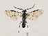  ( - ZMUO.032828)  @15 [ ] CreativeCommons - Attribution Non-Commercial (2018) Marko Mutanen University of Oulu