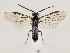  ( - ZMUO.032833)  @15 [ ] CreativeCommons - Attribution Non-Commercial (2018) Marko Mutanen University of Oulu