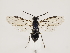  ( - ZMUO.032836)  @14 [ ] CreativeCommons - Attribution Non-Commercial (2018) Marko Mutanen University of Oulu