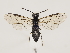  ( - ZMUO.032840)  @15 [ ] CreativeCommons - Attribution Non-Commercial (2018) Marko Mutanen University of Oulu