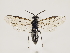  ( - ZMUO.032841)  @15 [ ] CreativeCommons - Attribution Non-Commercial (2018) Marko Mutanen University of Oulu