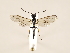  ( - ZMUO.032863)  @13 [ ] CreativeCommons - Attribution Non-Commercial (2018) Marko Mutanen University of Oulu