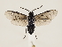  ( - ZMUO.032883)  @11 [ ] CreativeCommons - Attribution Non-Commercial (2018) Marko Mutanen University of Oulu