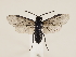  ( - ZMUO.032884)  @11 [ ] CreativeCommons - Attribution Non-Commercial (2018) Marko Mutanen University of Oulu