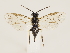  ( - ZMUO.032899)  @11 [ ] CreativeCommons - Attribution Non-Commercial (2018) Marko Mutanen University of Oulu