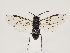  ( - ZMUO.032900)  @15 [ ] CreativeCommons - Attribution Non-Commercial (2018) Marko Mutanen University of Oulu