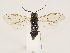  ( - ZMUO.032930)  @11 [ ] CreativeCommons - Attribution Non-Commercial (2018) Marko Mutanen University of Oulu