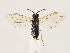  ( - ZMUO.032933)  @11 [ ] CreativeCommons - Attribution Non-Commercial (2018) Marko Mutanen University of Oulu