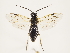  ( - ZMUO.032969)  @13 [ ] CreativeCommons - Attribution Non-Commercial (2018) Marko Mutanen University of Oulu