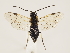  ( - ZMUO.032970)  @12 [ ] CreativeCommons - Attribution Non-Commercial (2018) Marko Mutanen University of Oulu