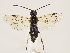  ( - ZMUO.032971)  @12 [ ] CreativeCommons - Attribution Non-Commercial (2018) Marko Mutanen University of Oulu