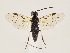  ( - ZMUO.032972)  @12 [ ] CreativeCommons - Attribution Non-Commercial (2018) Marko Mutanen University of Oulu