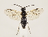  ( - ZMUO.032973)  @12 [ ] CreativeCommons - Attribution Non-Commercial (2018) Marko Mutanen University of Oulu
