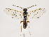  ( - ZMUO.033011)  @13 [ ] CreativeCommons - Attribution Non-Commercial (2018) Marko Mutanen University of Oulu