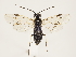  ( - ZMUO.033014)  @13 [ ] CreativeCommons - Attribution Non-Commercial (2018) Marko Mutanen University of Oulu