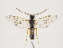  ( - ZMUO.033057)  @13 [ ] CreativeCommons - Attribution Non-Commercial (2018) Marko Mutanen University of Oulu