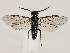  ( - ZMUO.033078)  @14 [ ] CreativeCommons - Attribution Non-Commercial (2018) Marko Mutanen University of Oulu