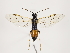  ( - ZMUO.033099)  @13 [ ] CreativeCommons - Attribution Non-Commercial (2018) Marko Mutanen University of Oulu