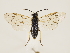  ( - ZMUO.033117)  @12 [ ] CreativeCommons - Attribution Non-Commercial (2018) Marko Mutanen University of Oulu
