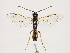  ( - ZMUO.033121)  @13 [ ] CreativeCommons - Attribution Non-Commercial (2018) Marko Mutanen University of Oulu