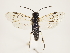  ( - ZMUO.033133)  @12 [ ] CreativeCommons - Attribution Non-Commercial (2018) Marko Mutanen University of Oulu