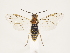  ( - ZMUO.033153)  @12 [ ] CreativeCommons - Attribution Non-Commercial (2018) Marko Mutanen University of Oulu