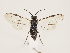  ( - ZMUO.033154)  @13 [ ] CreativeCommons - Attribution Non-Commercial (2018) Marko Mutanen University of Oulu