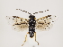  ( - ZMUO.033182)  @12 [ ] CreativeCommons - Attribution Non-Commercial (2018) Marko Mutanen University of Oulu