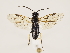  ( - ZMUO.033232)  @11 [ ] CreativeCommons - Attribution Non-Commercial (2018) Marko Mutanen University of Oulu