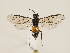  ( - ZMUO.033246)  @13 [ ] CreativeCommons - Attribution Non-Commercial (2018) Marko Mutanen University of Oulu