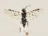  ( - ZMUO.033247)  @13 [ ] CreativeCommons - Attribution Non-Commercial (2018) Marko Mutanen University of Oulu