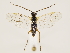  ( - ZMUO.033269)  @13 [ ] CreativeCommons - Attribution Non-Commercial (2018) Marko Mutanen University of Oulu