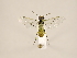  ( - ZMUO.033273)  @12 [ ] CreativeCommons - Attribution Non-Commercial (2018) Marko Mutanen University of Oulu